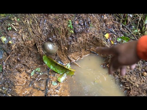 De poner minas antipersonal a quitarlas: la nueva vida de excombatientes de las FARC
