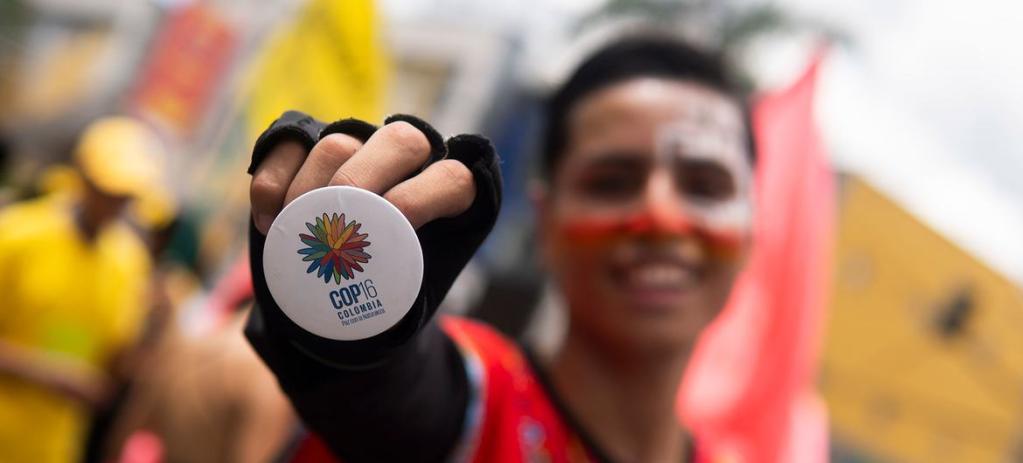 Cortesía Ministerio de Ambiente de Colombia. Un joven muestra un botón con la imagen oficial de la COP16 en una marcha de carnaval en Ibagué (Tolima).