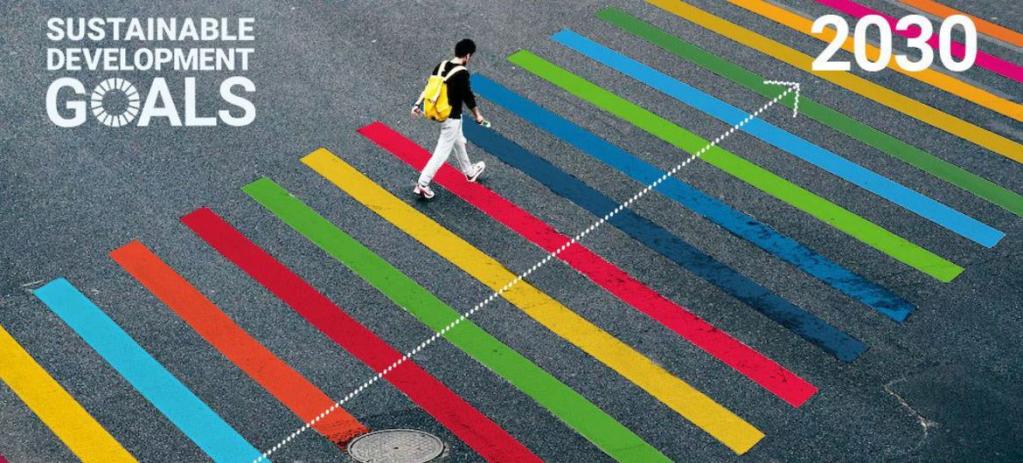 PNUD Los colores de los Objetivos de Desarrollo Sostenible en un cruce peatonal. (Foto de archivo)
