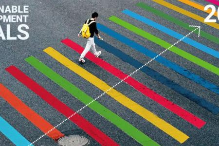 PNUD Los colores de los Objetivos de Desarrollo Sostenible en un cruce peatonal. (Foto de archivo)