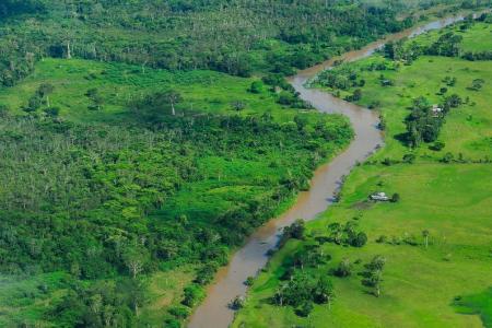 La selva amazónica, que cubre gran parte del noroeste de Brasil y se extiende a otros países sudamericanos, es la mayor selva tropical del mundo.