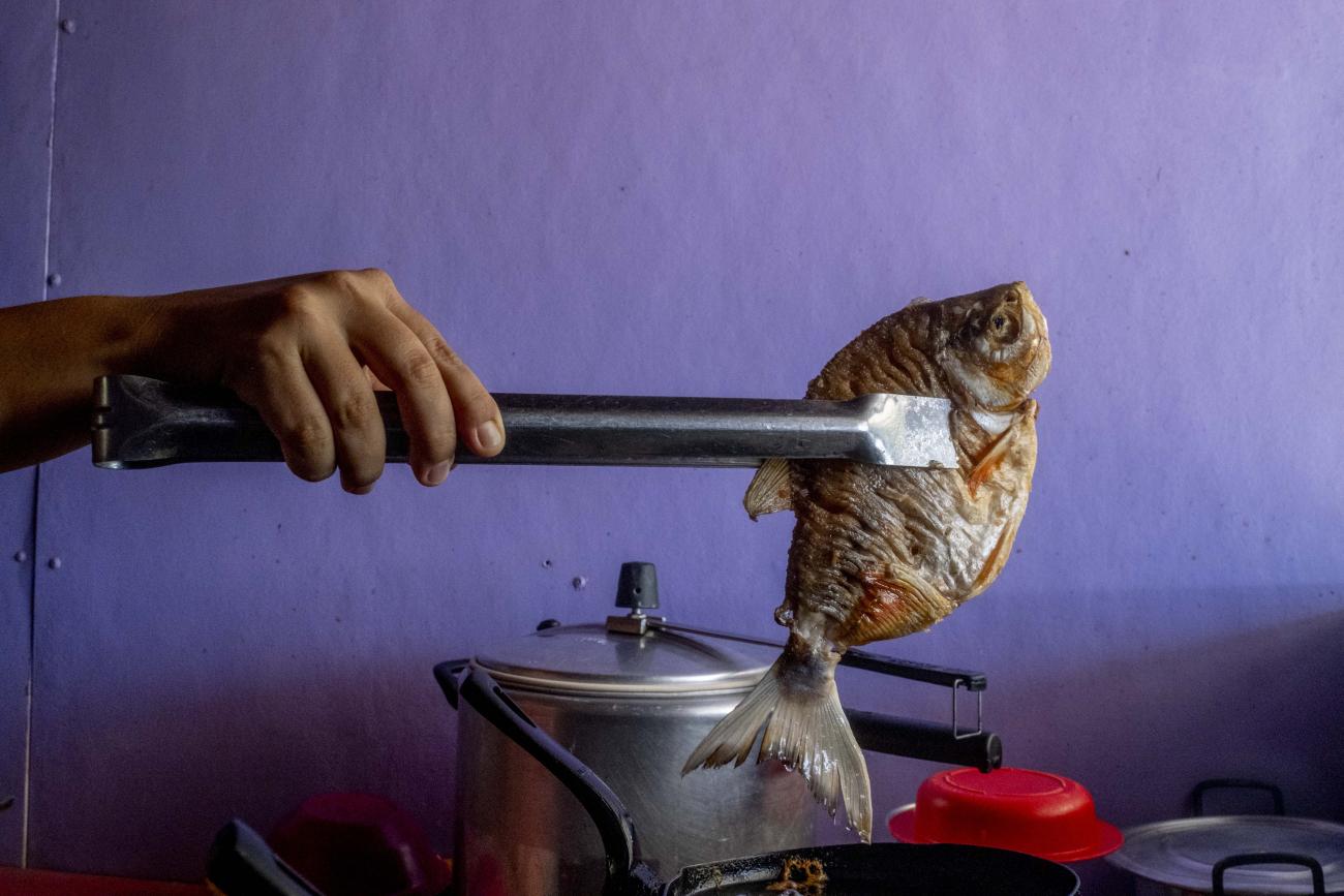 Una mano sostiene un pez frito con unas pinzas de cocina sobre una estufa. Al fondo se observan una olla metálica y recipientes plásticos rojos, con una pared morada como fondo.