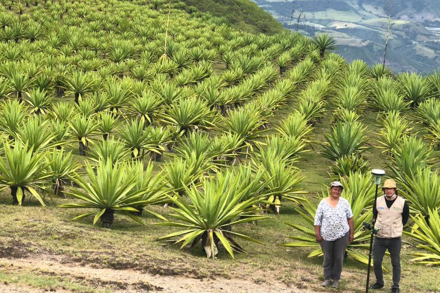 Formalización de la propiedad privada rural en el sur de Colombia