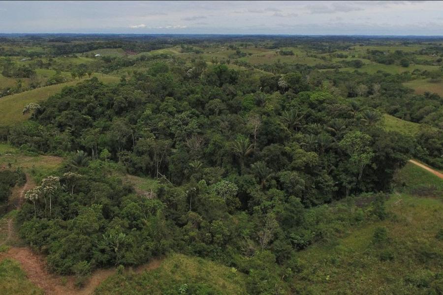 HUMANICEMOS DH Vista aérea del área del Resguardo Indígen