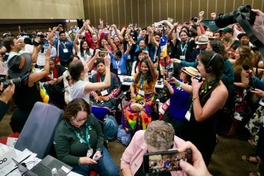 La COP16 pretendía ser una «COP de la gente», reconociendo que resolver la crisis de la biodiversidad requiere la representación y la participación activa de todos.