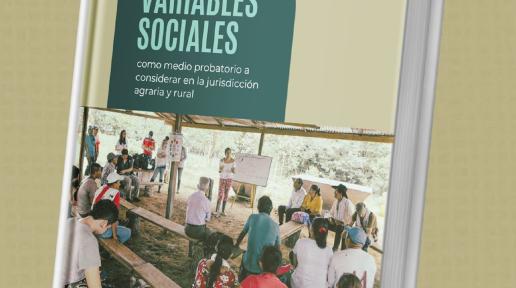 Versión impresa de la publicaciónVariables sociales como medio probatorio a considerar en la jurisdicción Agraria y Rural