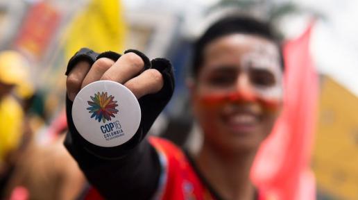 Cortesía Ministerio de Ambiente de Colombia. Un joven muestra un botón con la imagen oficial de la COP16 en una marcha de carnaval en Ibagué (Tolima).