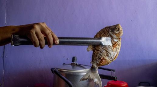 Una mano sostiene un pez frito con unas pinzas de cocina sobre una estufa. Al fondo se observan una olla metálica y recipientes plásticos rojos, con una pared morada como fondo.