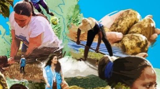 Portada del Informe Anual de Resultados 2024 de las Naciones Unidas en Colombia, con fondo azul y un mapa del país compuesto por imágenes de comunidades, agricultura, biodiversidad y desarrollo sostenible.