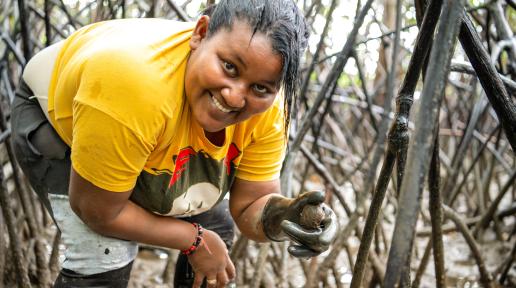 Pamela, mujer afrocolombiana recolectora de moluscos sonriendo mientras trabaja entre raíces de manglares, representando prácticas sostenibles y empoderamiento comunitario en ecosistemas costeros.